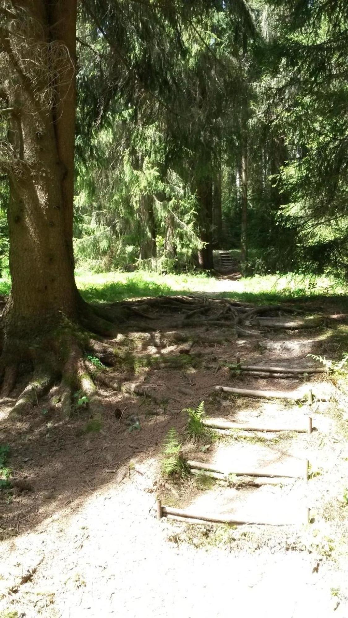 Ferienhaus Fuer 6 Personen Im Thueringer Wald Grossbreitenbach Экстерьер фото