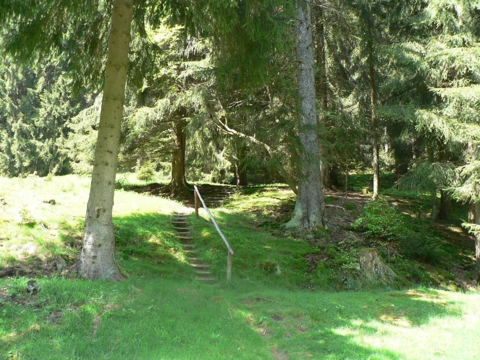 Ferienhaus Fuer 6 Personen Im Thueringer Wald Grossbreitenbach Экстерьер фото