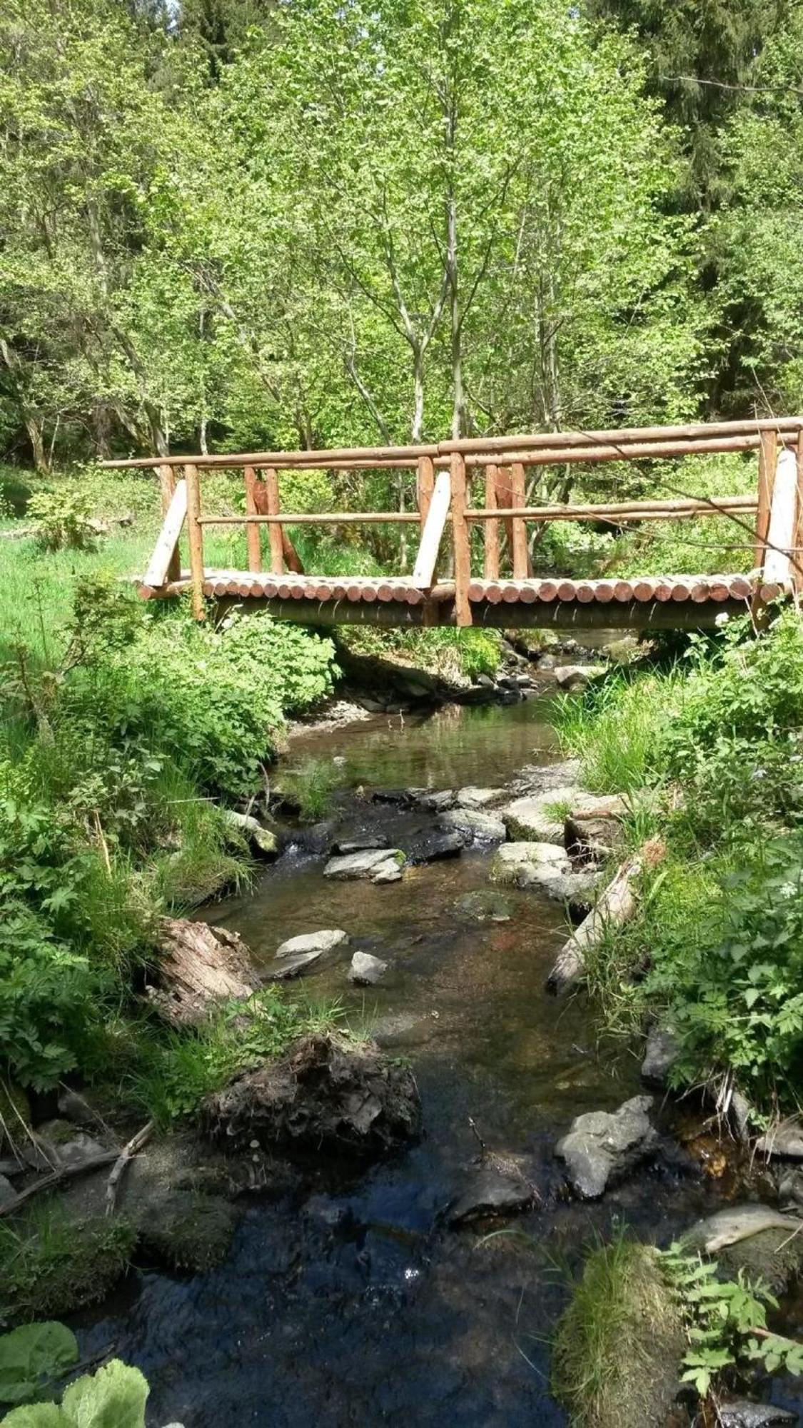 Ferienhaus Fuer 6 Personen Im Thueringer Wald Grossbreitenbach Экстерьер фото