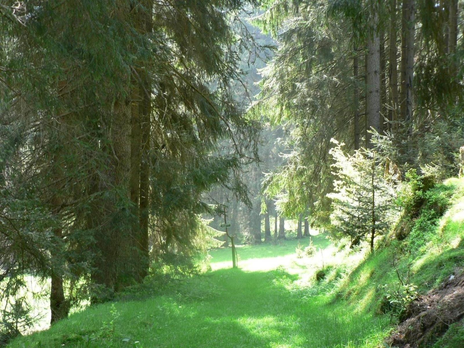 Ferienhaus Fuer 6 Personen Im Thueringer Wald Grossbreitenbach Экстерьер фото