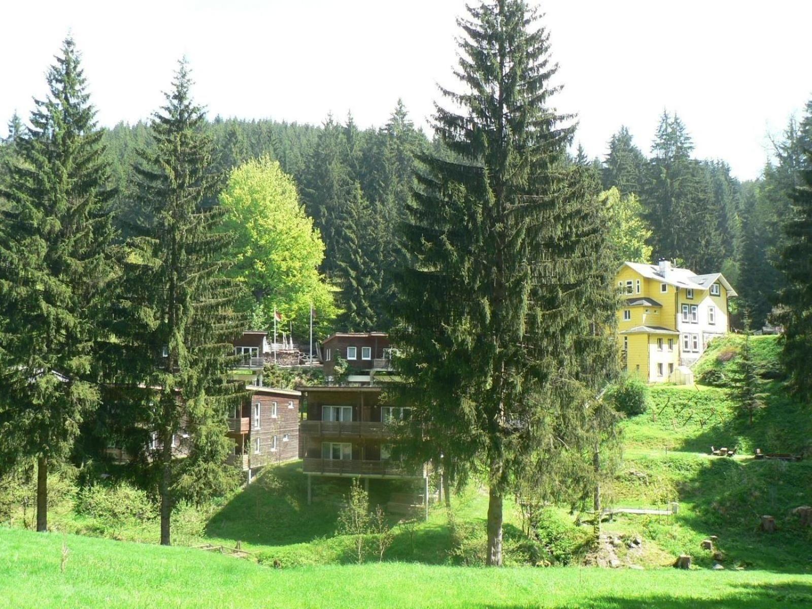 Ferienhaus Fuer 6 Personen Im Thueringer Wald Grossbreitenbach Экстерьер фото